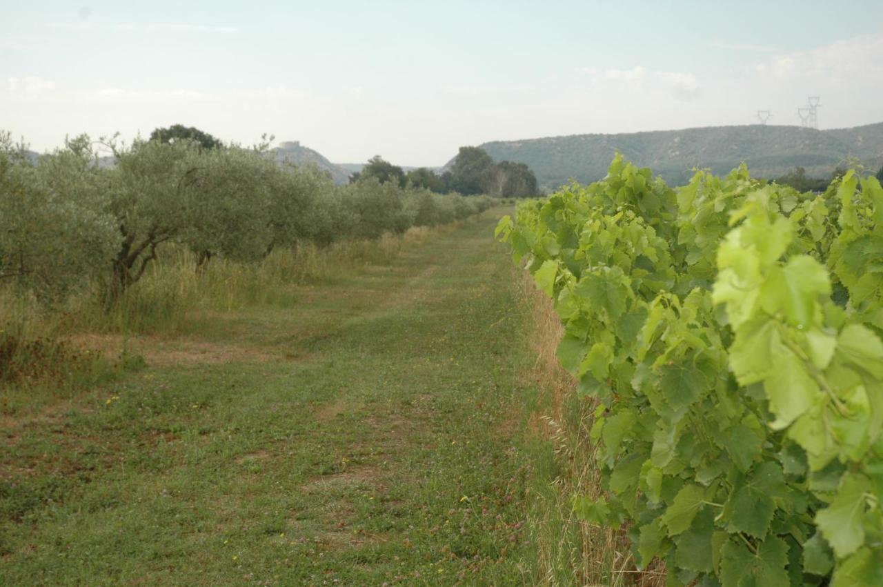 Domaine de Sévanes Saint-Paul-les-Fonts Exterior foto